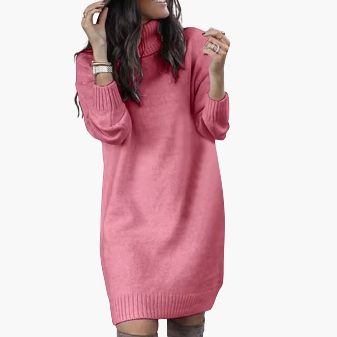 Damen kleid mit Rollkragen und langen Ärmeln