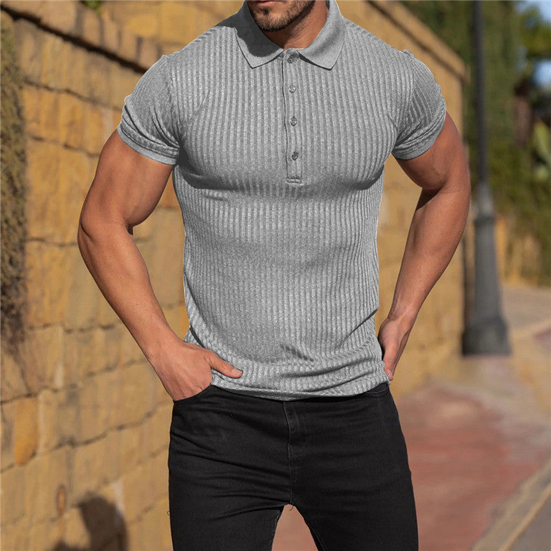 Männer Poloshirt Baumwolle Klassisch Elegант
