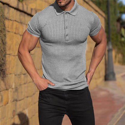 Männer Poloshirt Baumwolle Klassisch Elegант