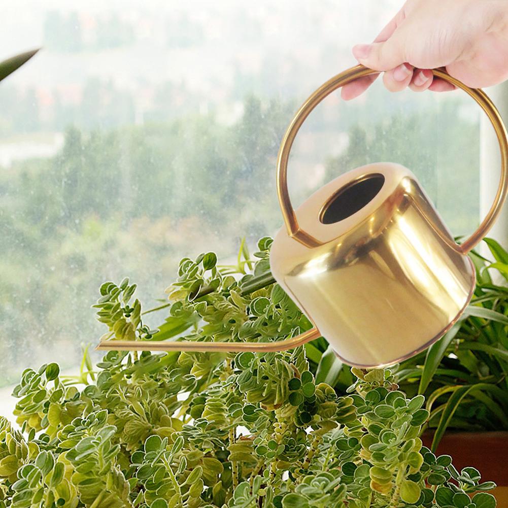 Elliptische Gießkanne Moderne Gartenkanne Edelstahl