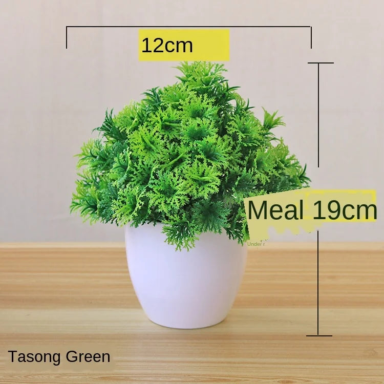 Kleine Bonsai Pflanze Topf Baum Mini