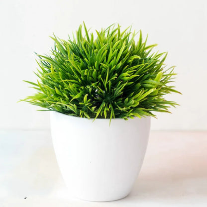 Kleine Bonsai Pflanze Topf Baum Mini