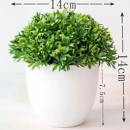 Kleine Bonsai Pflanze Topf Baum Mini - BerlinGlamour