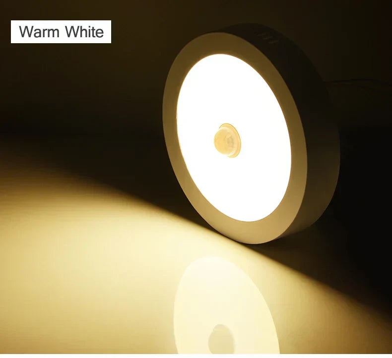 LED Deckenleuchte Bewegungsmelder Dimmbar Intelligent