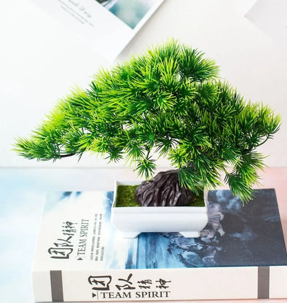 Kleine Bonsai Pflanze Topf Baum Mini