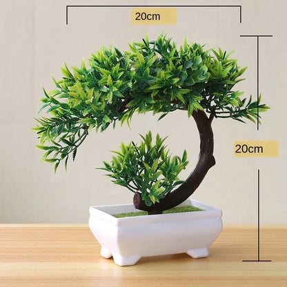 Kleine Bonsai Pflanze Topf Baum Mini