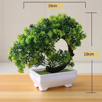 Kleine Bonsai Pflanze Topf Baum Mini