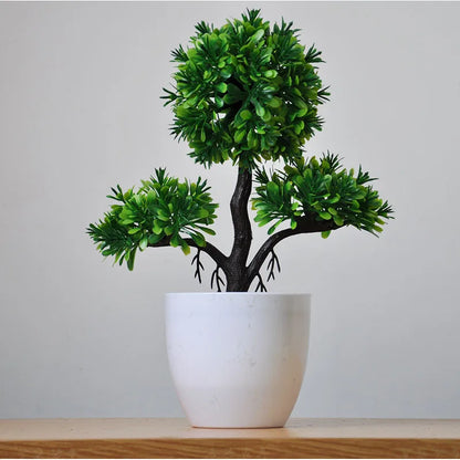 Kleine Bonsai Pflanze Topf Baum Mini