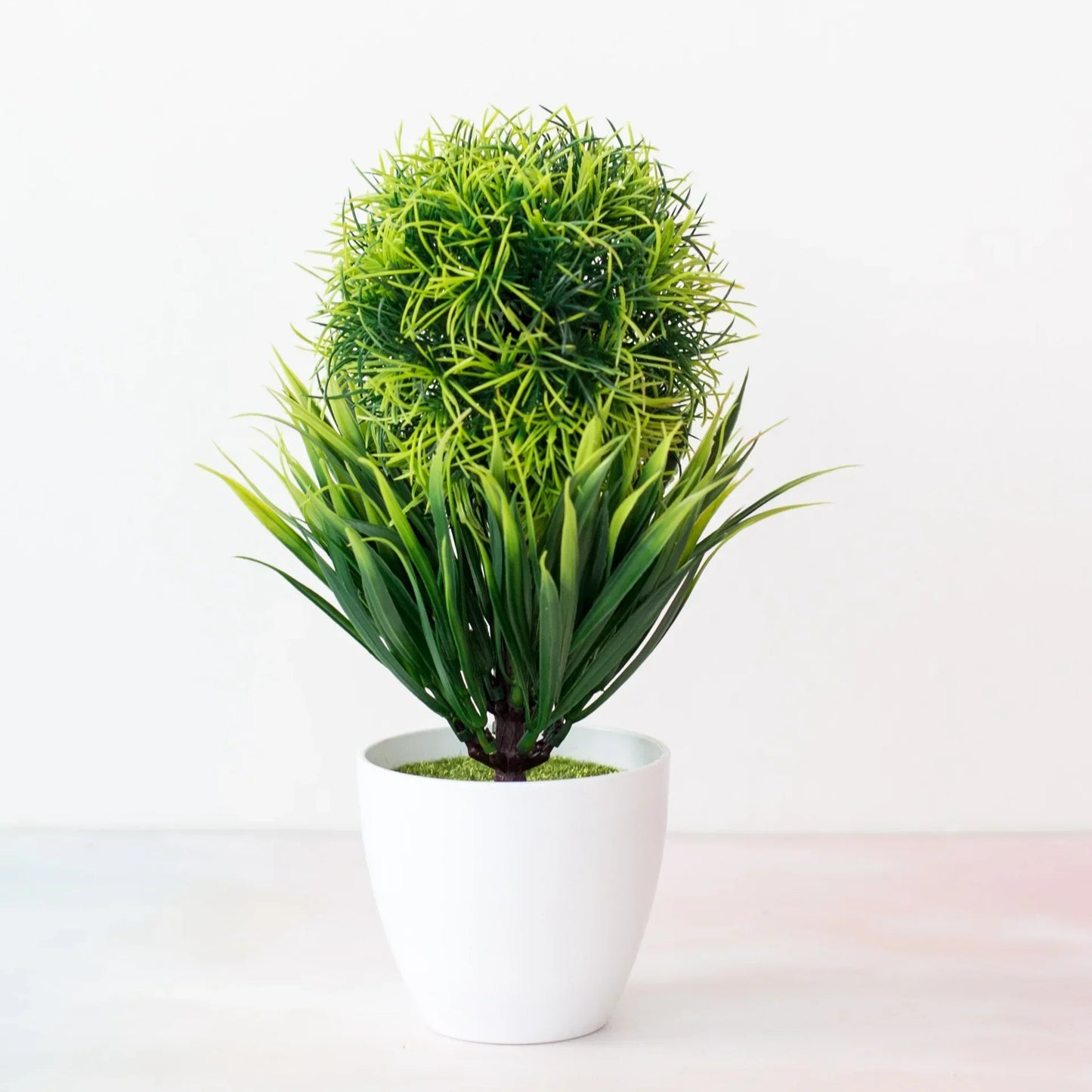 Kleine Bonsai Pflanze Topf Baum Mini