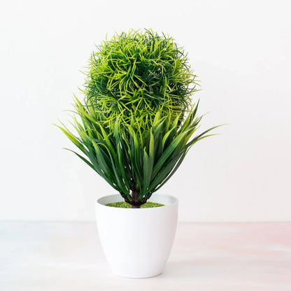 Kleine Bonsai Pflanze Topf Baum Mini