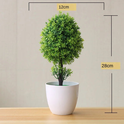 Kleine Bonsai Pflanze Topf Baum Mini