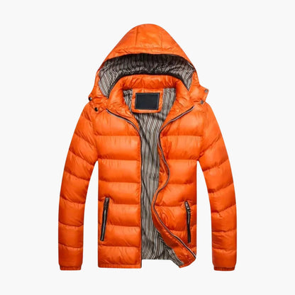 Herren-Daunenjacke mit Glanzeffekt 1