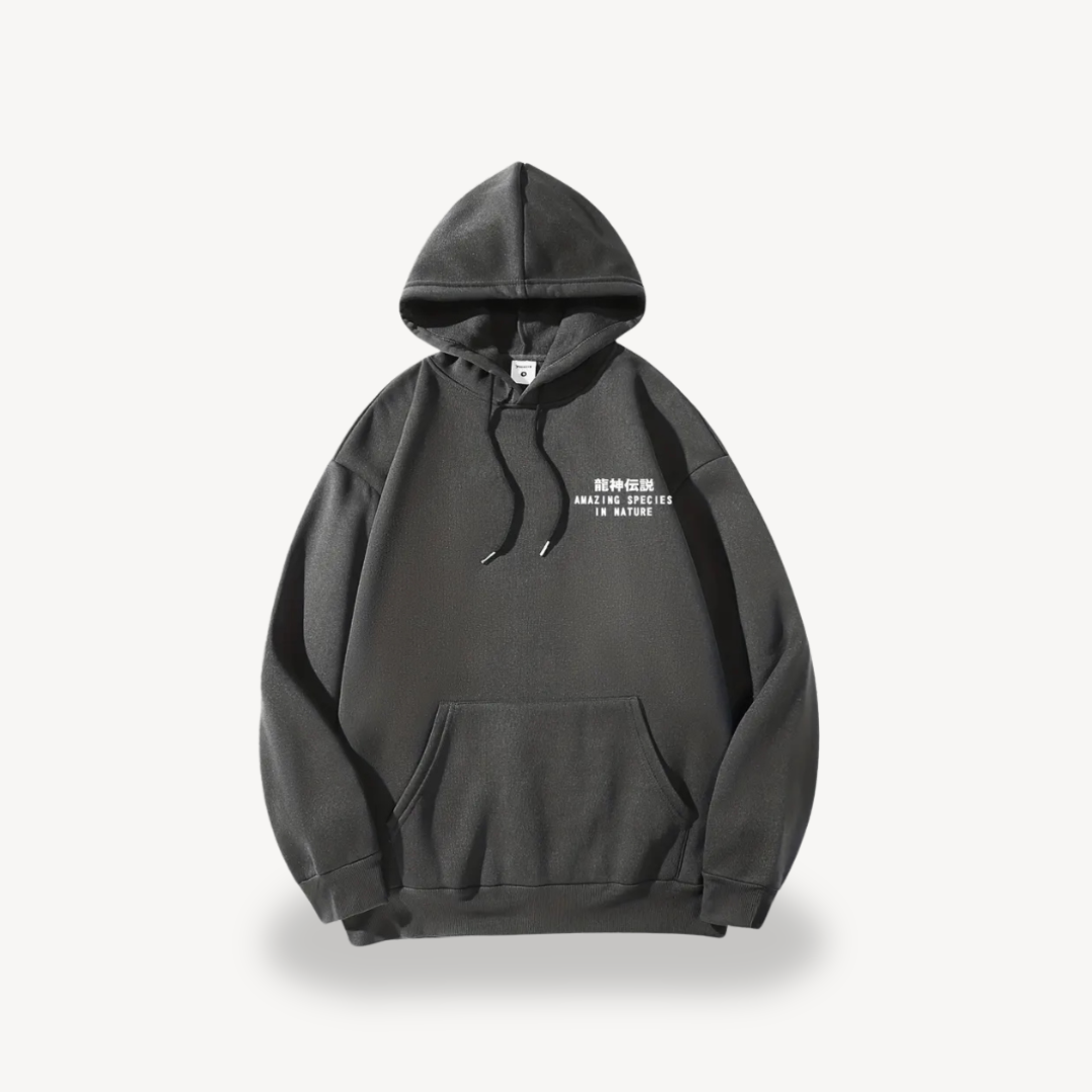 Herren-Hoodie mit Grafikdruck | Loravelle 3