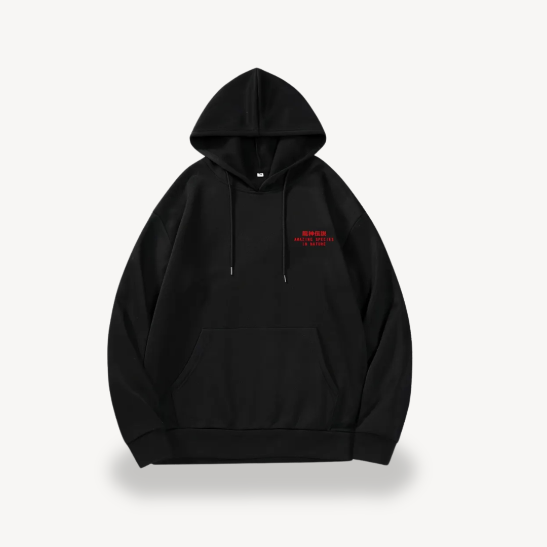 Herren-Hoodie mit Grafikdruck | Loravelle 5
