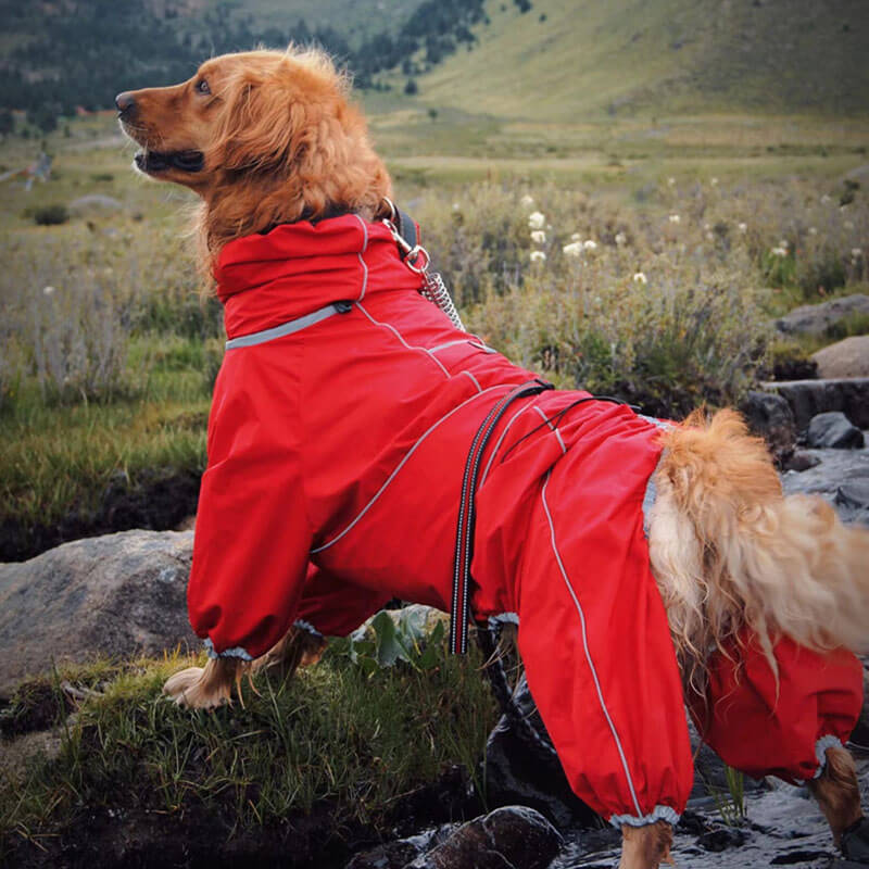 Wasserdichte Hundehülle Regenjacke Verstellbar Outdoor - BerlinGlamour