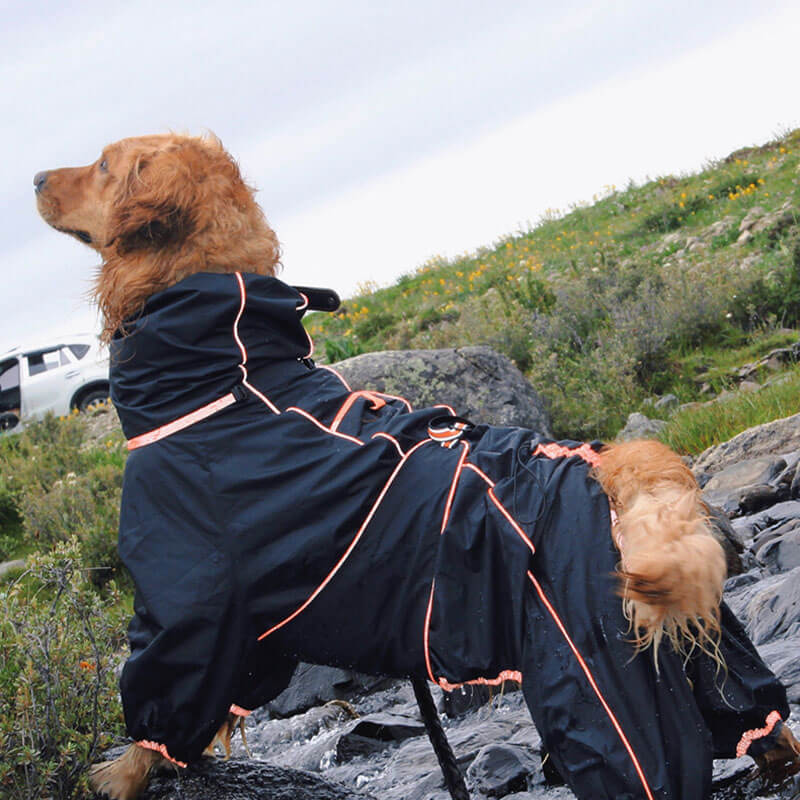 Wasserdichte Hundehülle Regenjacke Verstellbar Outdoor