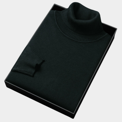 Herren Rollkragenpullover Frühling Leicht Modern
