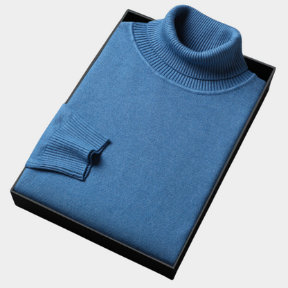 Herren Rollkragenpullover Frühling Leicht Modern