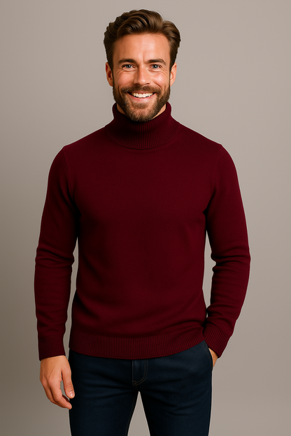Herren Rollkragenpullover Frühling Leicht Modern