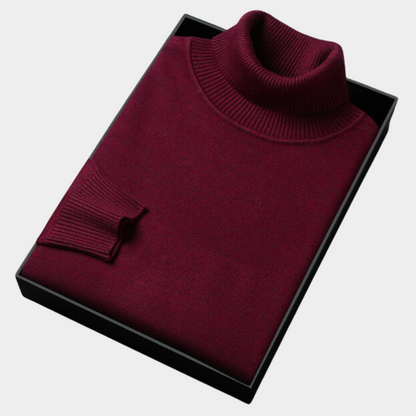 Herren Rollkragenpullover Frühling Leicht Modern