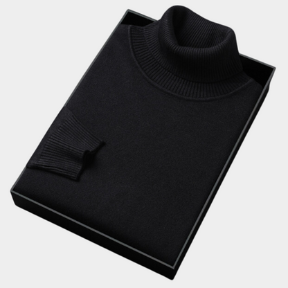 Herren Rollkragenpullover Frühling Leicht Modern
