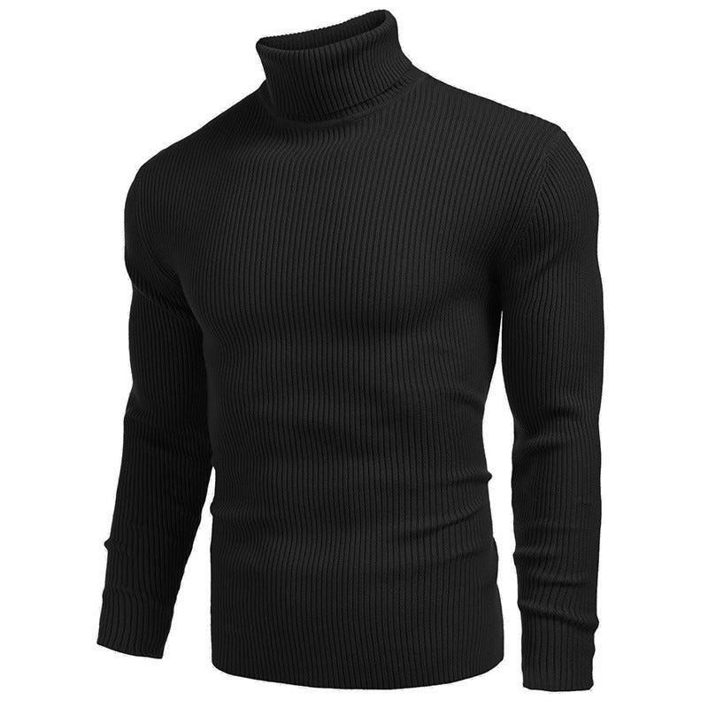 Herren Rollkragenpullover Strick Elegante Optik