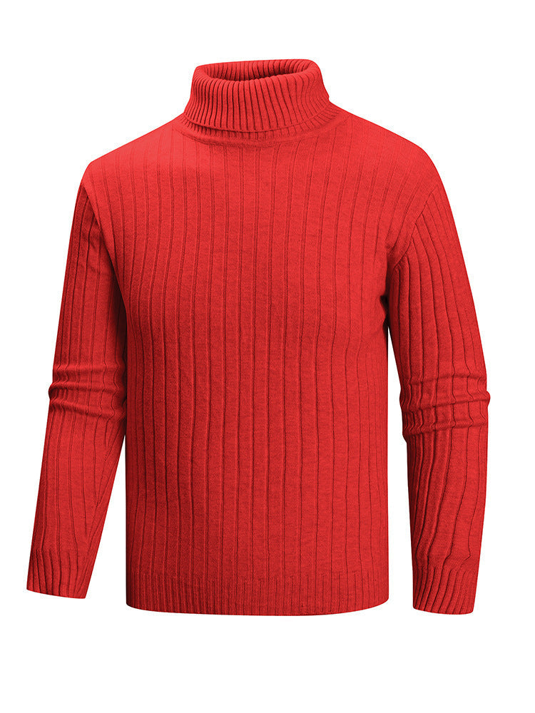 Herren Pullover Rollkragen Feinstrick Modern Style