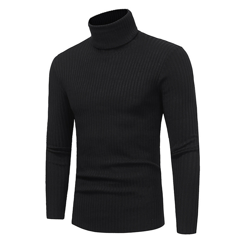 Herren Pullover Rollkragen Modern Hochwertig