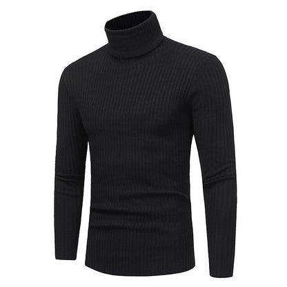 Herren Pullover Rollkragen Modern Hochwertig