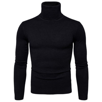 Herren Pullover Rollkragen Merinowolle Fein Eleganter