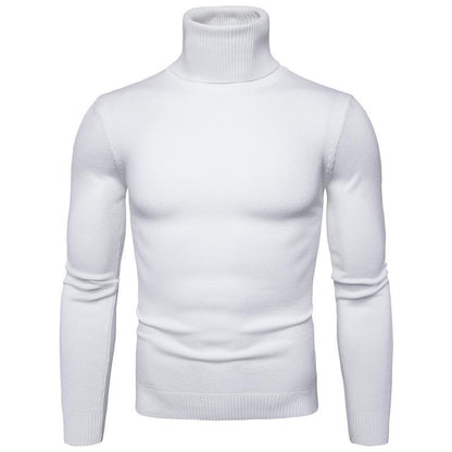 Herren Rollkragenpullover Fein Strick Hochwertig Elegант