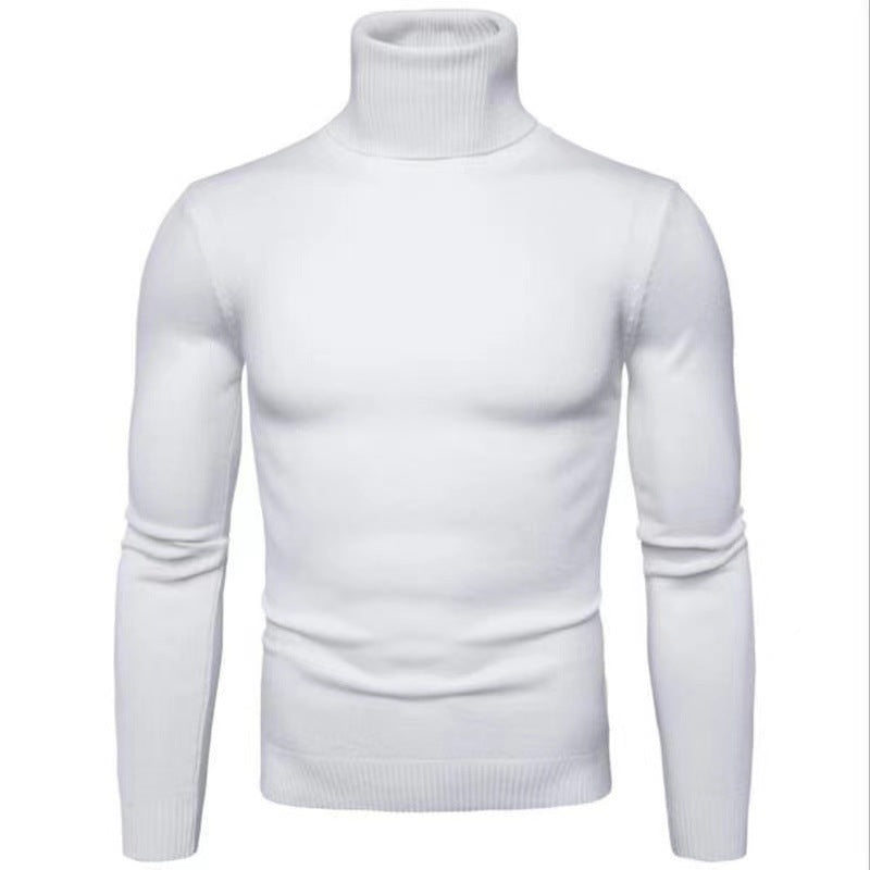 Herren Rollkragenpullover Baumwolle Hochwertig Elegannt