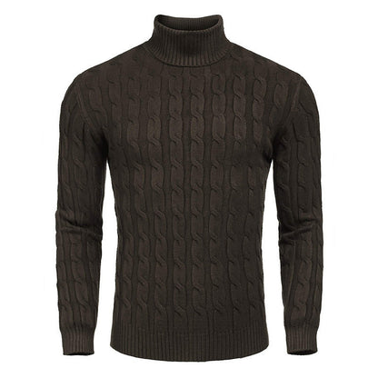 Herren Rollkragenpullover Zopfmuster Modern Schwarz