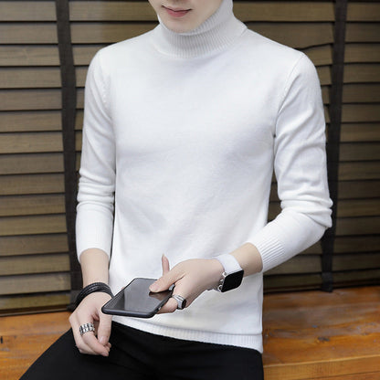 Herren Strickpullover Hochgeschlossen Elegant Modern