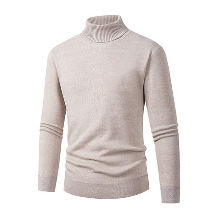 Herren Rollkragenpullover Eleganter Pullover Hochwertig