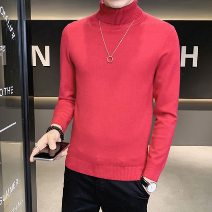 Herren Pullover Weich Strickware Hochkragen Modern