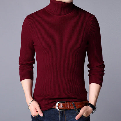 Herren Feinpullover Modern Strick Design