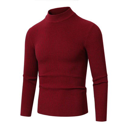 Herren Rollkragenpullover Feinwolle Modern Elegant