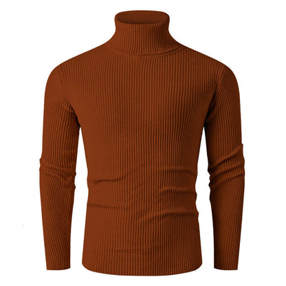 Herren Rollkragenpullover Gerippt Strick Modern Schwarz