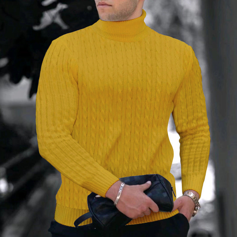 Herren Rollkragenpullover Zopfmuster Modern