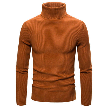 Herren Rollkragenpullover Struktur Optik Modern