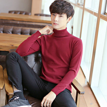 Herren Rollkragenpullover Fein Strick Soft Elegant