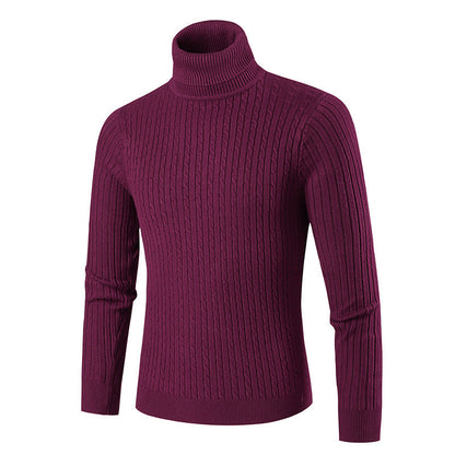 Herren Rollkragenpullover Strick Modern Style