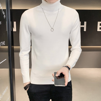Herren Pullover Weich Strickware Hochkragen Modern