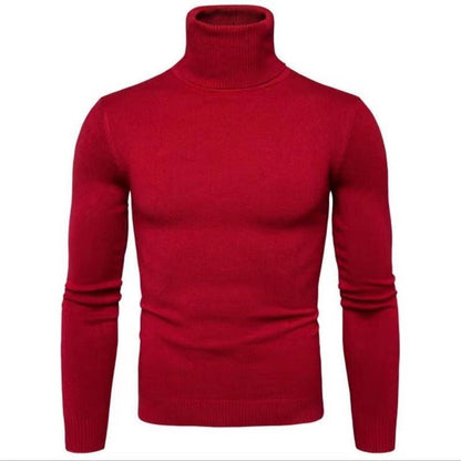 Herren Rollkragenpullover Baumwolle Hochwertig Elegannt