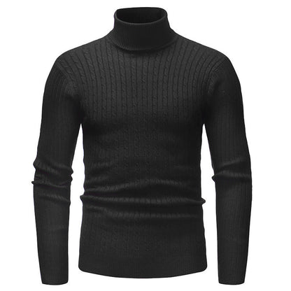 Herren Rollkragenpullover Fein Strick Modern Elegант
