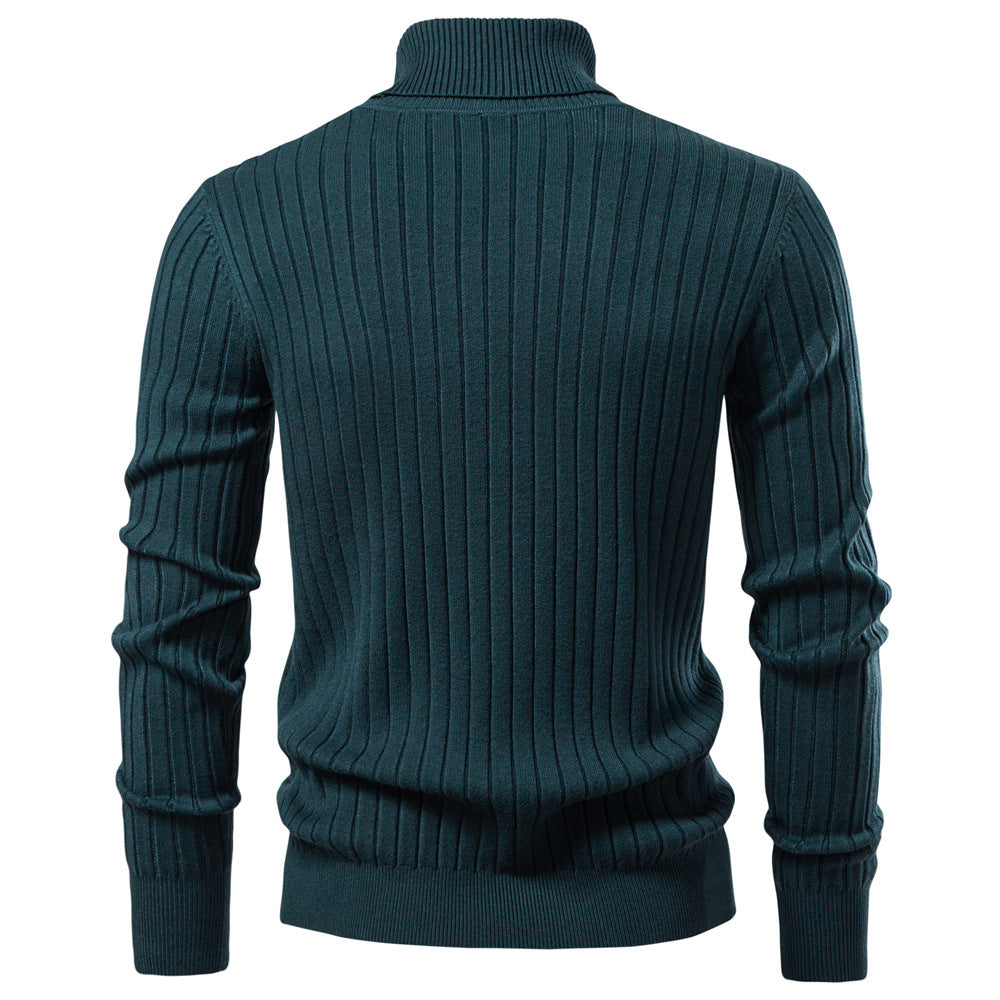 Herren Pullover Rollkragen Feinripp Modern