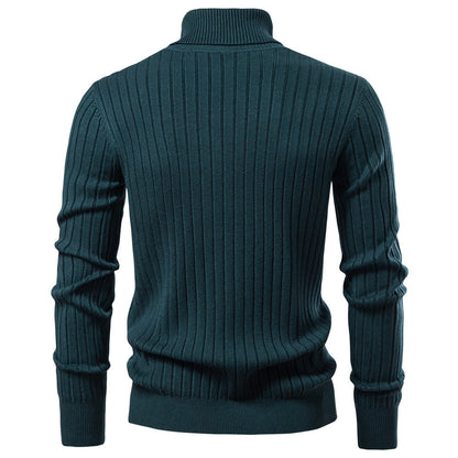 Herren Pullover Rollkragen Feinripp Modern