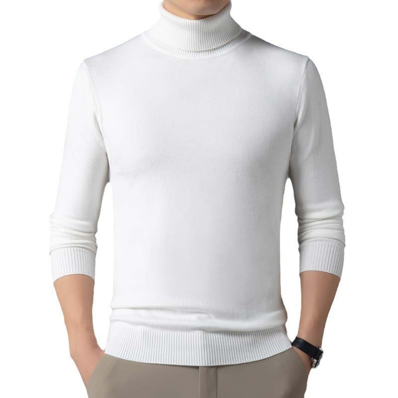 Herren Pullover Rollkragen Figurbetont Modern