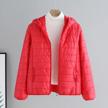 Damen Übergangsjacke Steppjacke Mit Kapuze Modern
